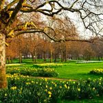 London Property Match Spring Update